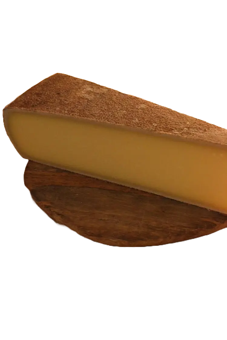 Adobe Express – file (1)