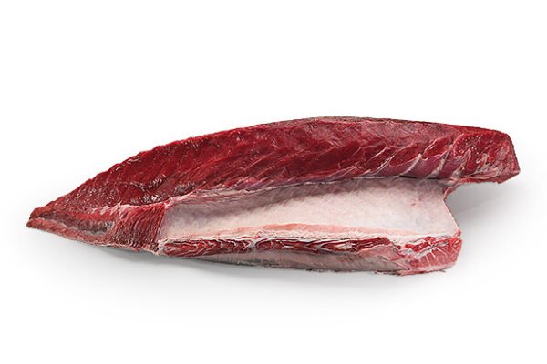 Fileto Toni me Bark – Harakami