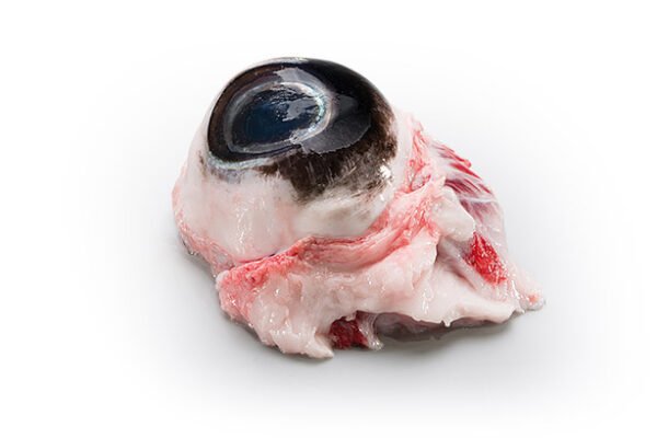 Syri i Tonit – Eye