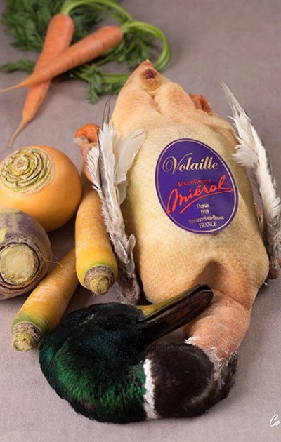 Colvert-Excellence-MIERAL-ambiance